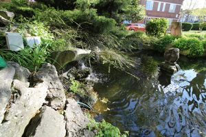 Photo 14- click for photo gallery